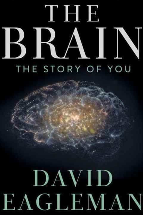 The Brain with Dr David Eagleman