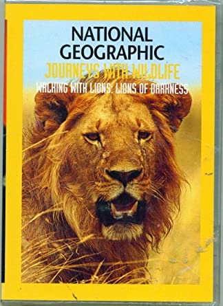 National Geographic – Dinner With Lions
