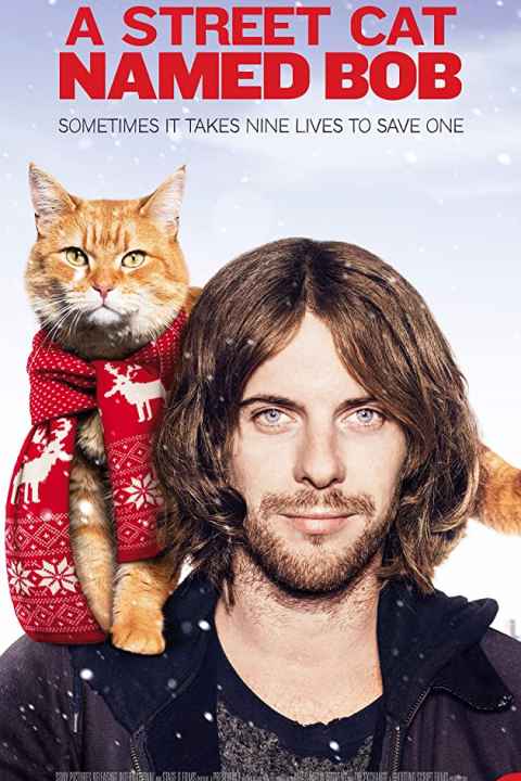 A Street Cat Named Bob