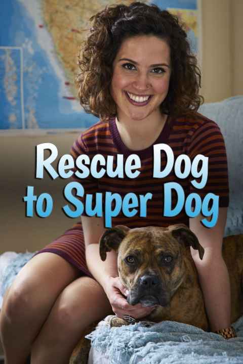 Rescue Dog to Super Dog
