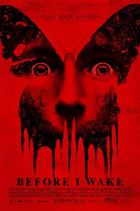 Before I Wake