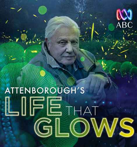 Attenboroughs Life That Glows