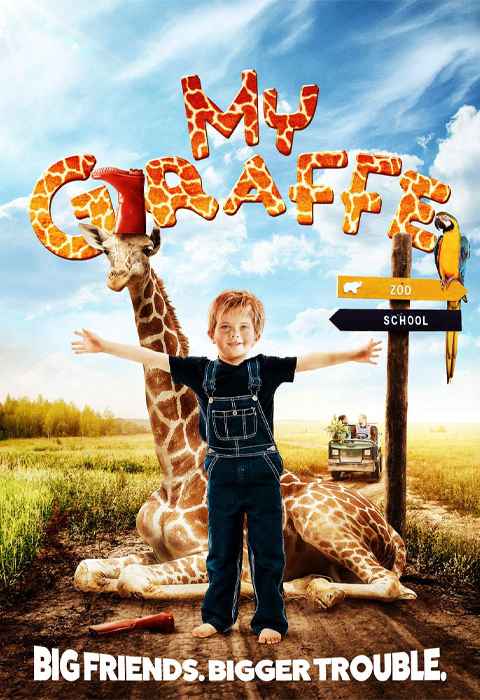 My Giraffe
