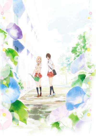 Your Light Kase san and Morning Glories