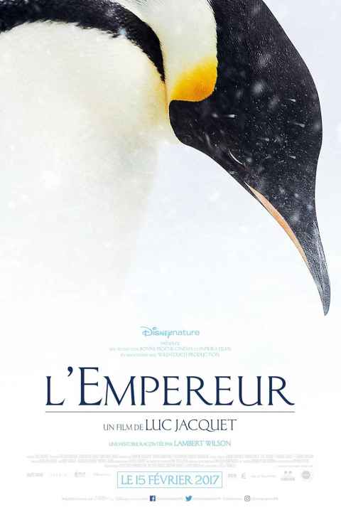 March of the Penguins 2 The Next Step