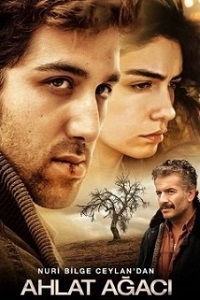   The Wild Pear Tree 2018