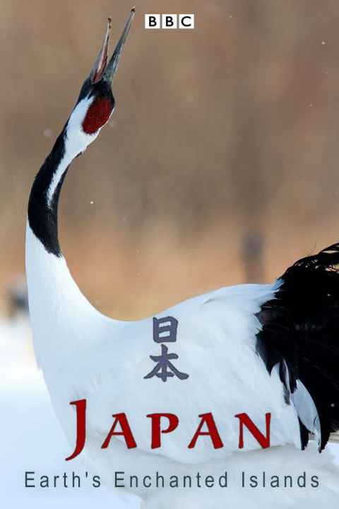 Japanese wildlife Honshu