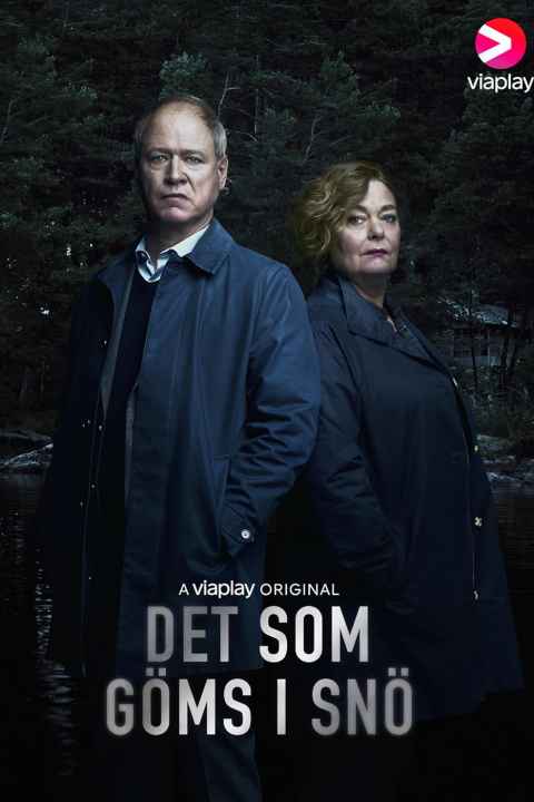 Det som goms i sno