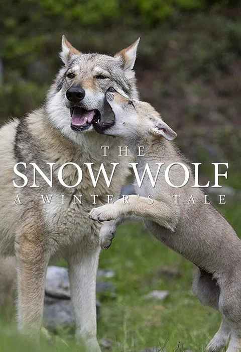 The Snow Wolf A Winters Tale
