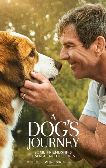  A Dog’s Journey 2019   