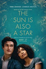   The Sun Is Also a Star 2019