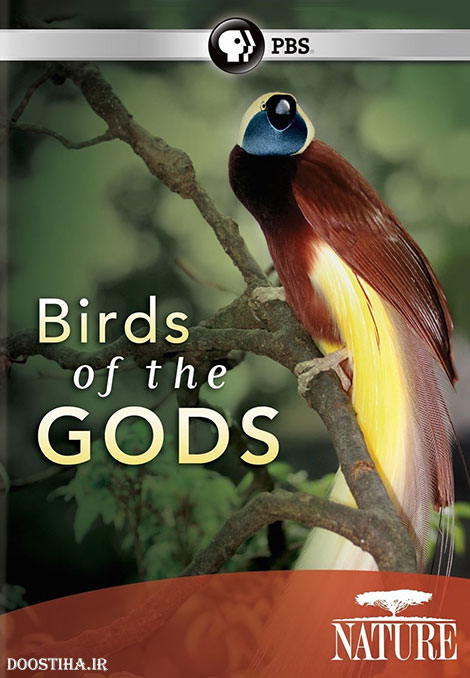 Birds of the Gods