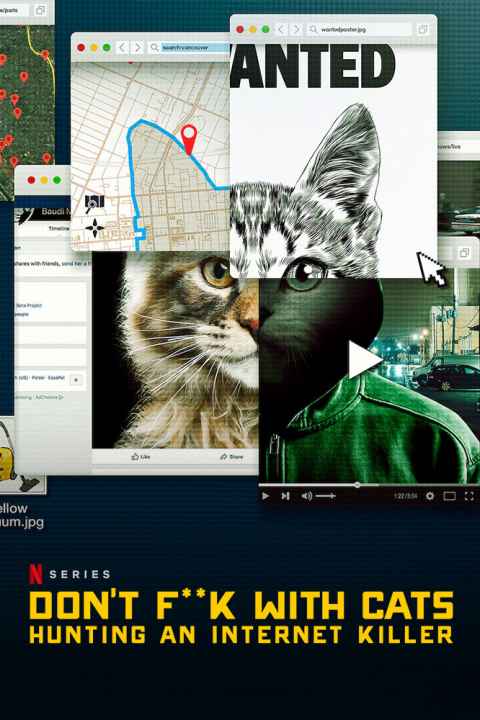Dont mess with Cats Hunting an Internet Killer