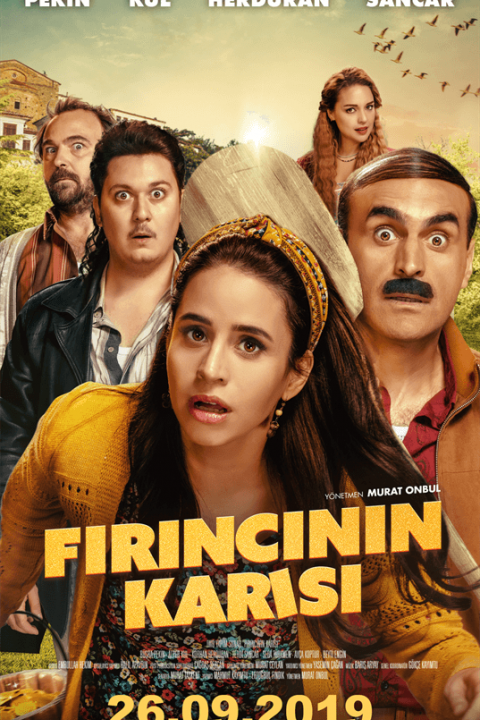 Firincinin Karisi
