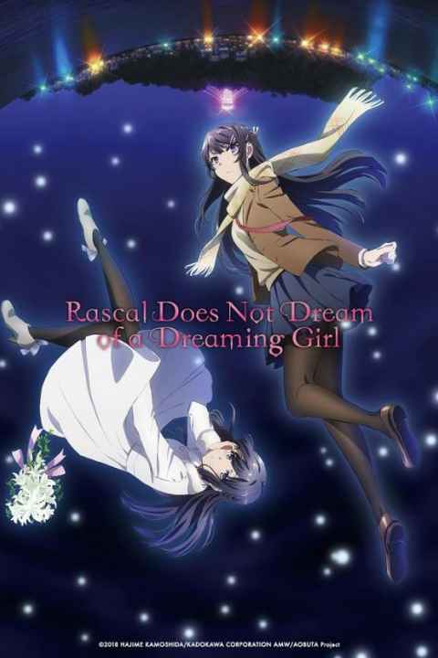 Rascal Does Not Dream of a Dreaming Girl