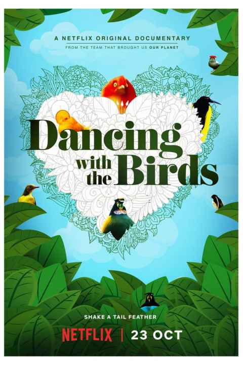 Dancing with the Birds