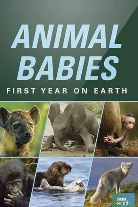 The Wonderful World of Baby Animals