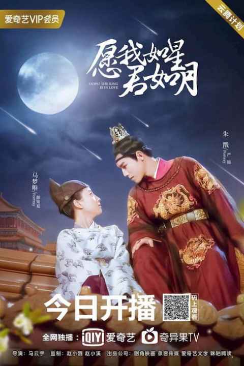 Oops The King In Love