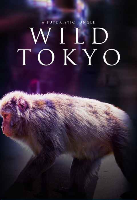 Wild Tokyo