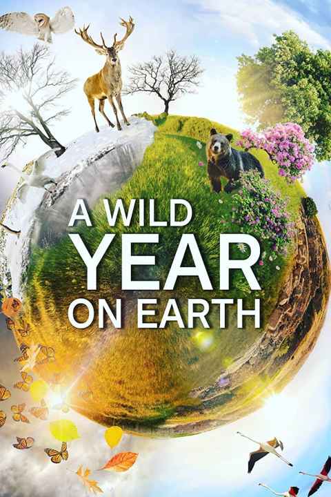 A Wild Year on Earth