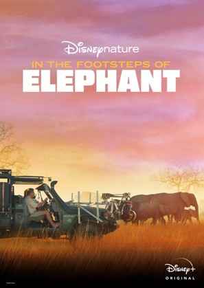 In the Footsteps of Elephant