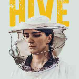 Hive