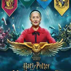 Harry Potter Hogwarts Tournament of Houses