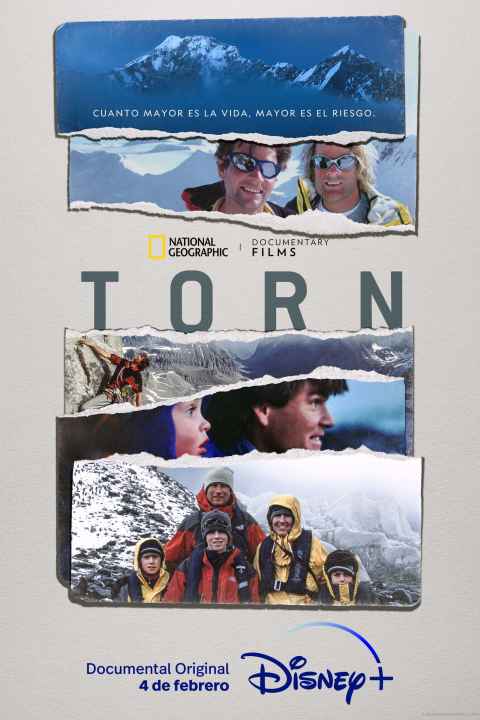 Torn