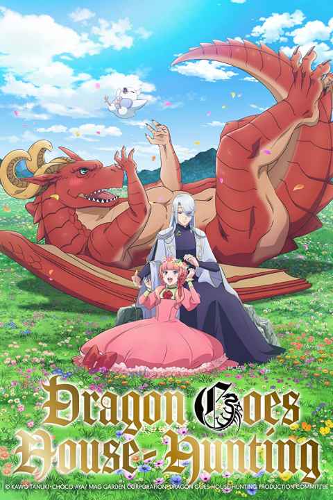 Dragon Goes House Hunting