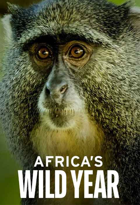 Africas Wild Year
