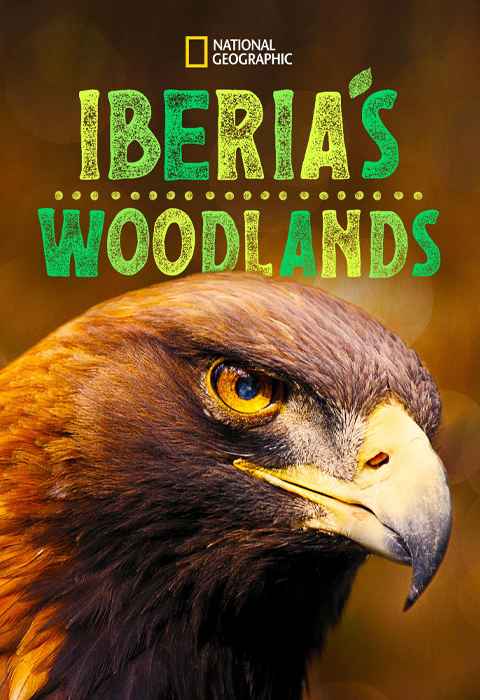Iberias Woodlands Life on the Edge