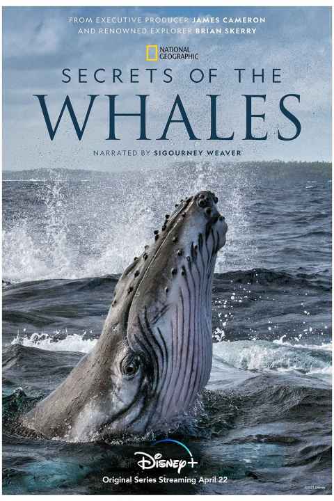 Secrets of the Whales