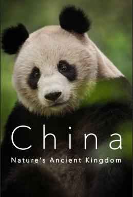China Natures Ancient Kingdom