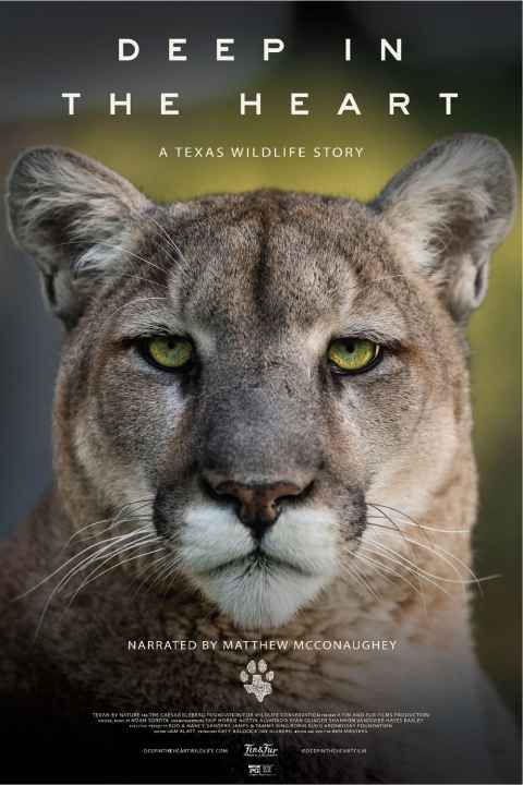 Deep in the Heart A Texas Wildlife Story