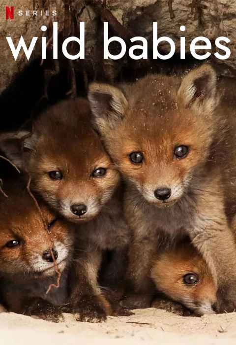 Wild Babies
