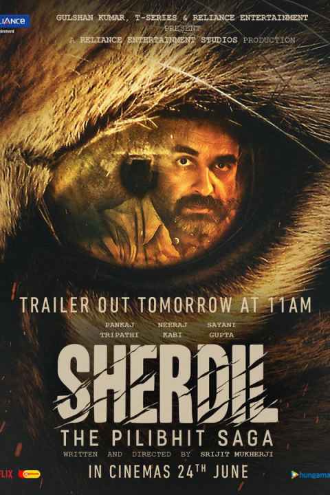 Sherdil