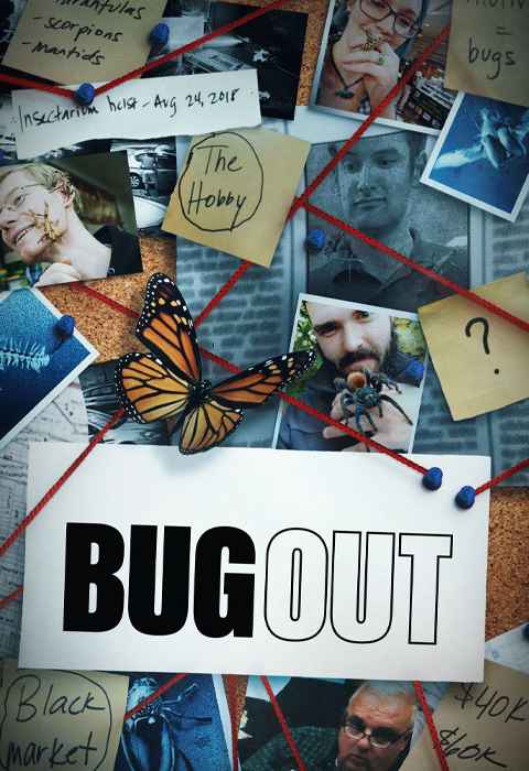 Bug Out