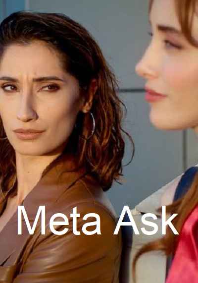 Meta Ask