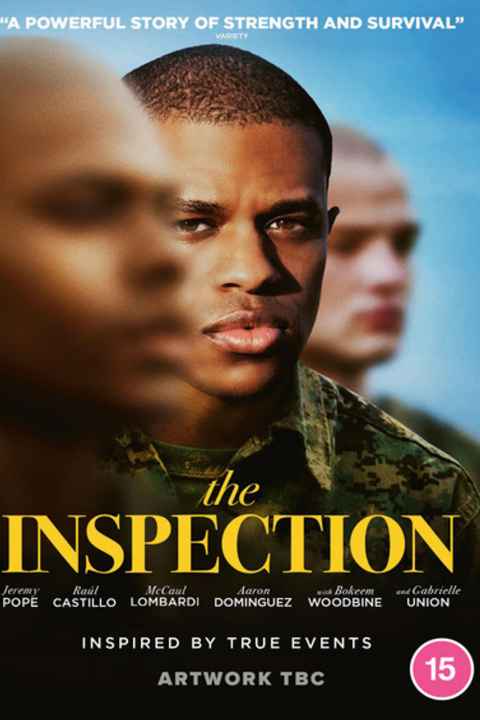 The Inspection