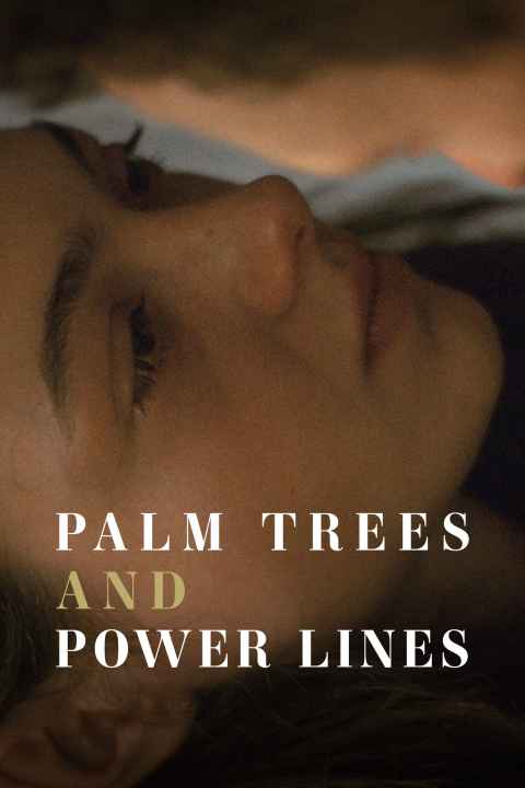 Palm Trees and Power Lines