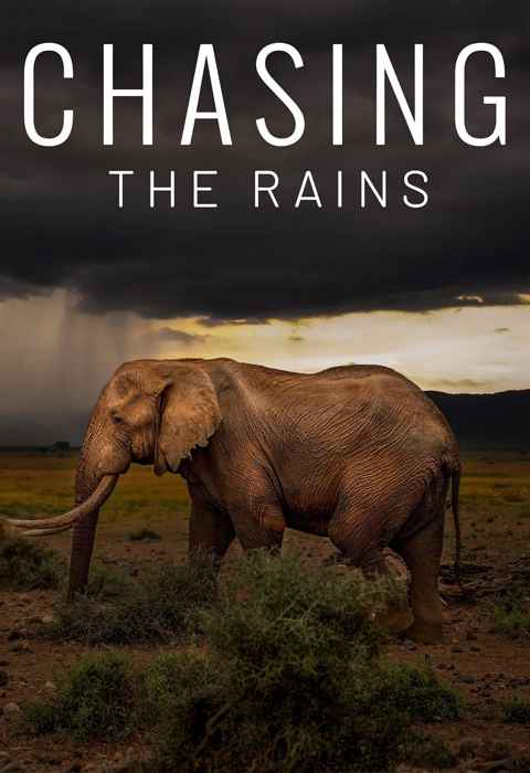 Chasing the Rains