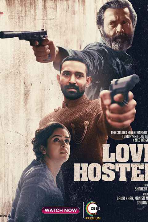 Love Hostel