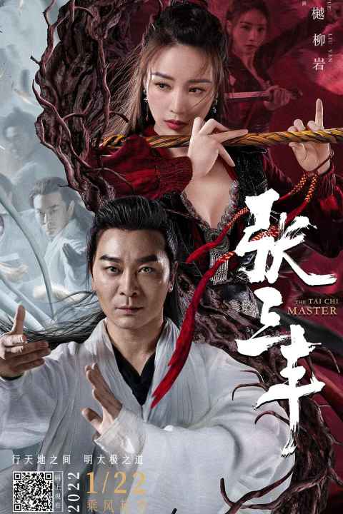 The Tai Chi Master