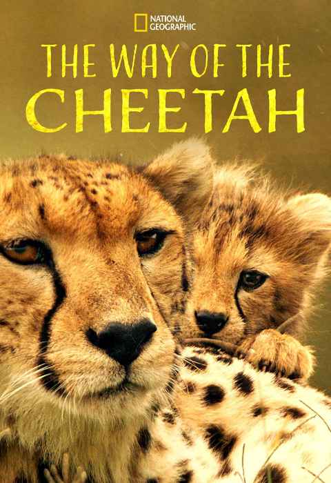 The Way of the Cheetah