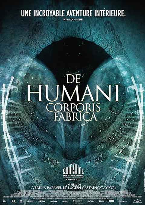 The Fabric of the Human Body
