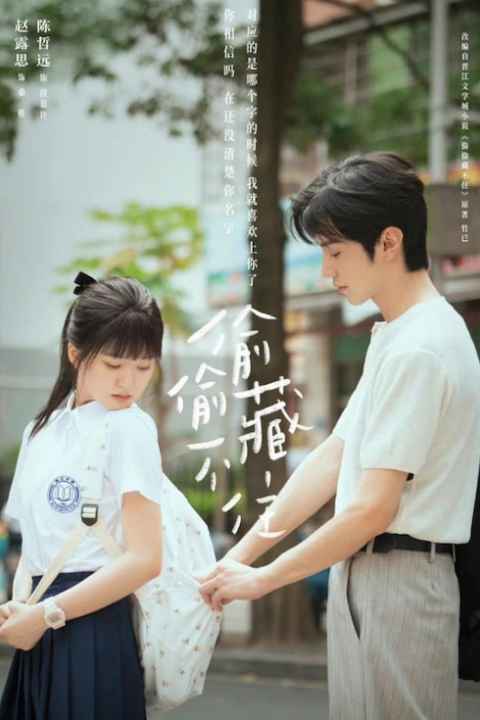 Hidden Love