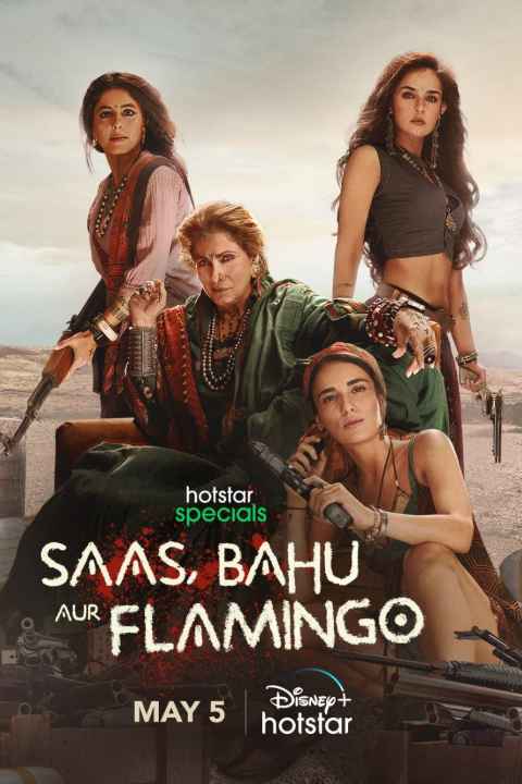 Saas Bahu Aur Flamingo