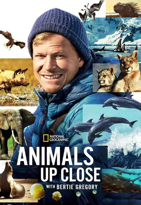 Animals Up Close with Bertie Gregory