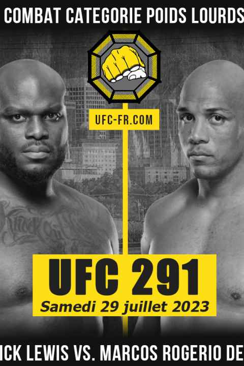 UFC 291