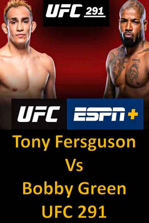 UFC 291